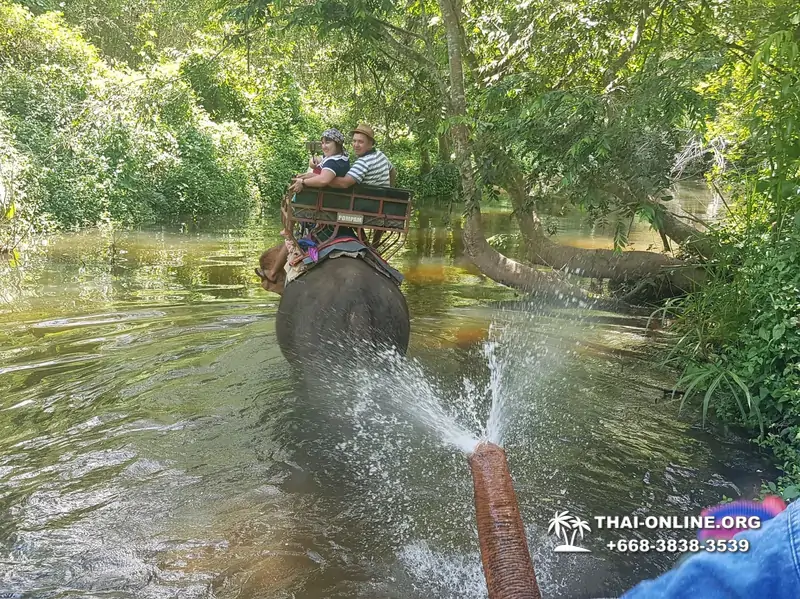 Guided tour from Pattaya to Khao Yai national park, Narok and Suwat falls, mineral springs, elephant rides, Bonanza open zoo - photo 20