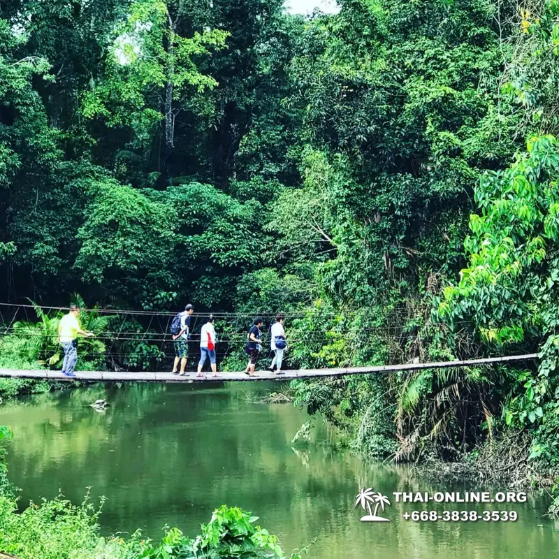 Guided tour from Pattaya to Khao Yai national park, Narok and Suwat falls, mineral springs, elephant rides, Bonanza open zoo - photo 7
